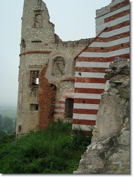 Nast\u0119pne zdj\u0119cie