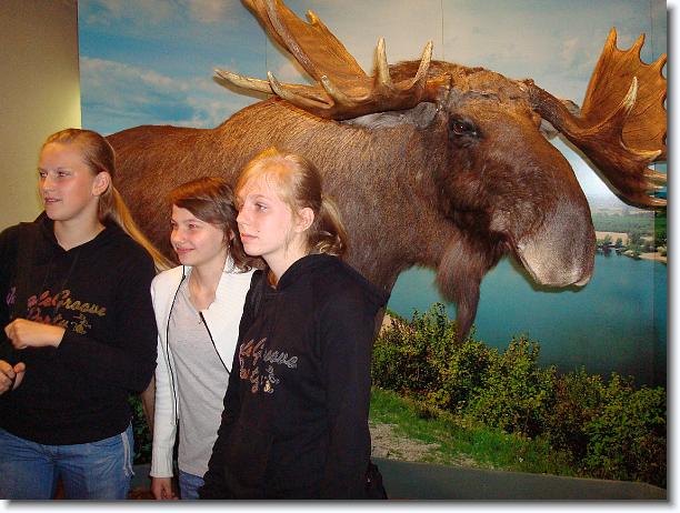 Nast\u0119pne zdj\u0119cie