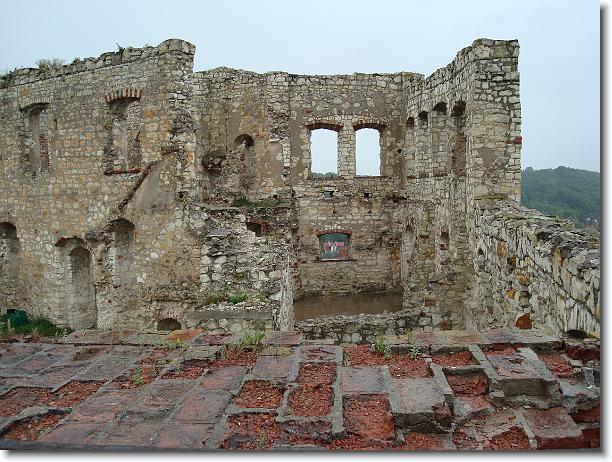 Nast\u0119pne zdj\u0119cie